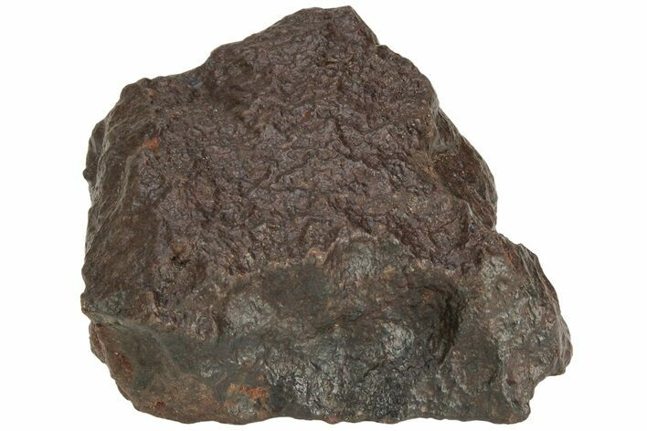 Chondrite Meteorite ( g) - Western Sahara Desert #222387